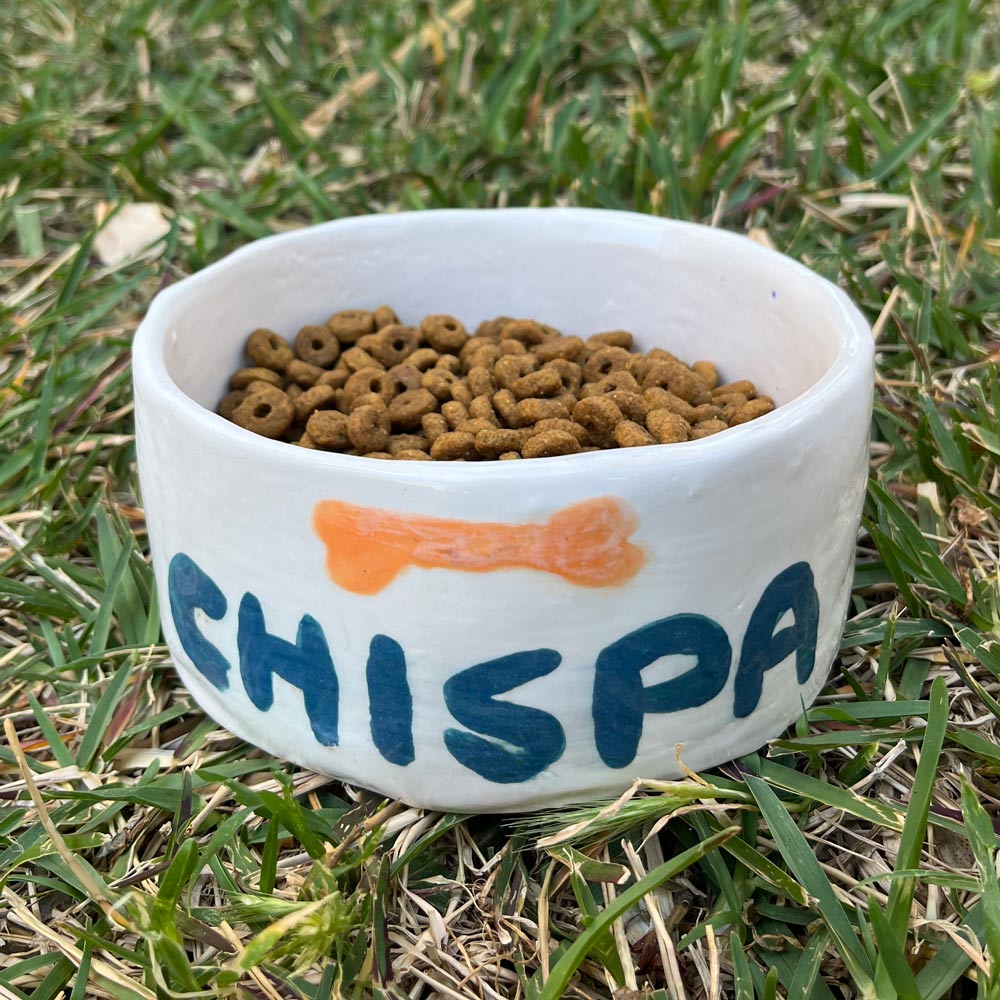 comedero-perros-personalizado Comedero personalizado para perro