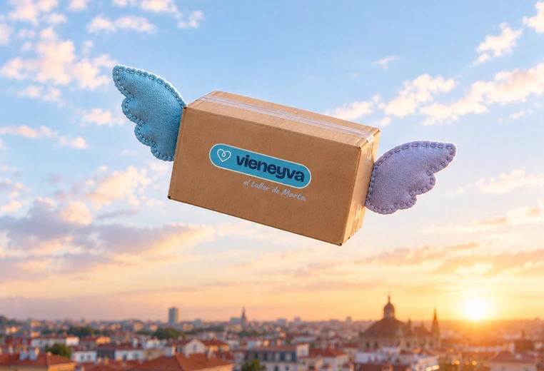 Regalo personalizado de camino a casa: paquete de Vieneyva con alas volando sobre la ciudad
